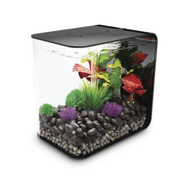 Oase Biorb Air 60 grey (Terrarium – Vivarium) - Μικρά < 60 lt