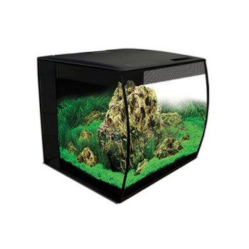 Ada Glass Cover For Cube Garden 30-C - Μικρά < 60 lt