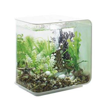 Oase Biorb Flow 15 Led White - Διακοσμητικά