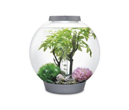 Oase Biorb Decor Set 15lt Summer - Τεχνητά Διακοσμητικά