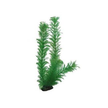 Aqua Nova Plastic plant 10cm - Sales