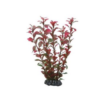 Aqua Nova Plastic plant 10cm - Sales