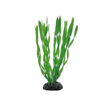 Aqua Nova Plastic plant – 4cm - Sales