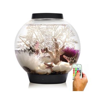 Oase Biorb Air 60 grey (Terrarium – Vivarium) - Μικρά < 60 lt