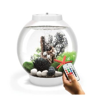 Nature4Pets Coconut Shelter ø8-12×3-5cm - Διακόσμηση Ενυδρείου