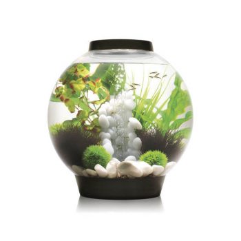 Oase Biorb Air 60 grey (Terrarium – Vivarium) - Μικρά < 60 lt