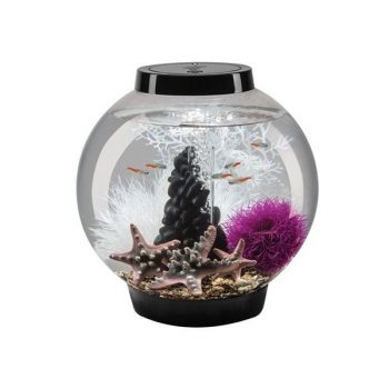 Oase Biorb Air 60 grey (Terrarium – Vivarium) - Μικρά < 60 lt