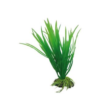 Aqua Nova Plastic plant 10cm - Sales