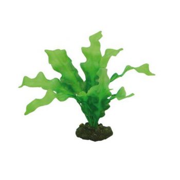 Aqua Nova Plastic plant 4cm - Sales