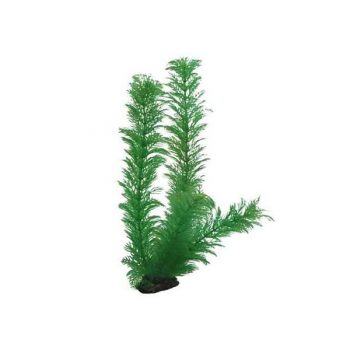 Hobby Egeria Densa 20cm - Τεχνητά Διακοσμητικά