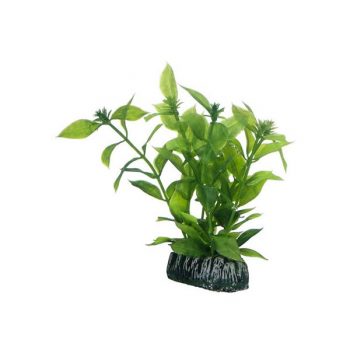 Hobby Hygrophila 20cm - Τεχνητά Διακοσμητικά