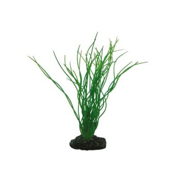 Hobby Sagittaria 20cm - Τεχνητά Διακοσμητικά