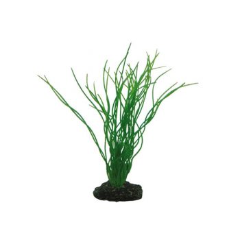 Hobby Sagittaria 20cm - Τεχνητά Διακοσμητικά