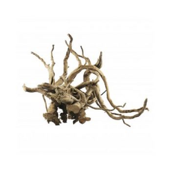 Haquoss Bonsai Driftwood 13 Medium 23x12x14h cm - Sales