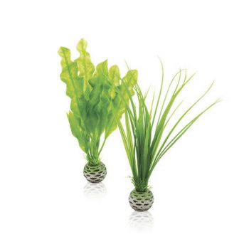 Aqua Nova Plastic plant 4cm - Sales