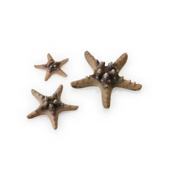 Oase Βiorb Decor Sea Star Set 3 Natural - Τεχνητά Διακοσμητικά