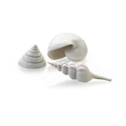 Oase Βiorb Sea Shells Set 3 White - Τεχνητά Διακοσμητικά