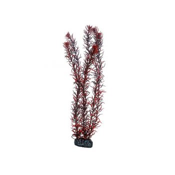 Aqua Nova Plastic plant 4cm - Τεχνητά Διακοσμητικά