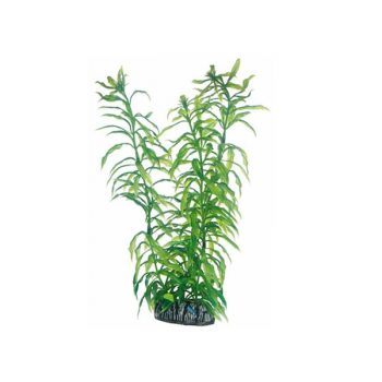 Hobby Rotala 16cm - Τεχνητά Διακοσμητικά