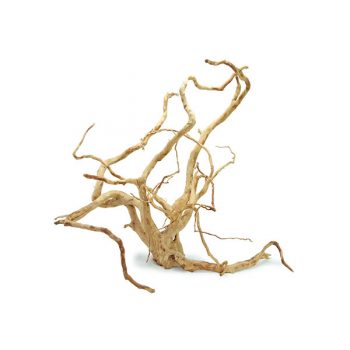 Haquoss Bonsai Driftwood 13 Medium 23x12x14h cm - Sales