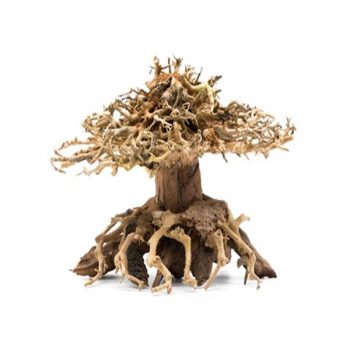 Haquoss Bonsai Driftwood 10x13x20cm - Ξύλα