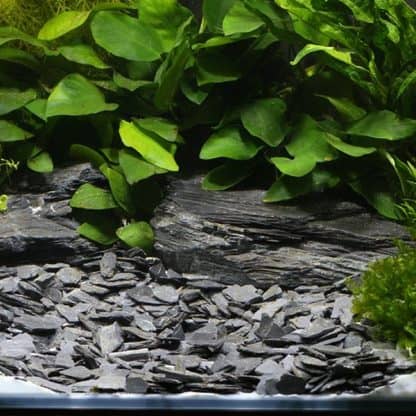 Dennerle Natural Gravel Plantahunter Baikal 10-30mm - Άμμος – Χαλίκια