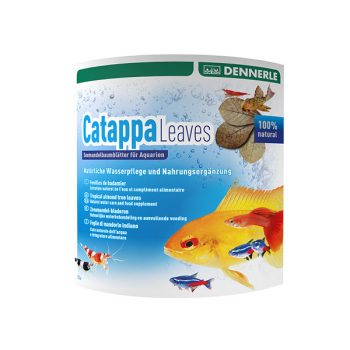 Dennerle nano catappa leaves 12 pcs - Sales