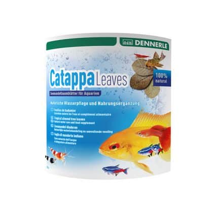 Dennerle Catappa Leaves - Sales