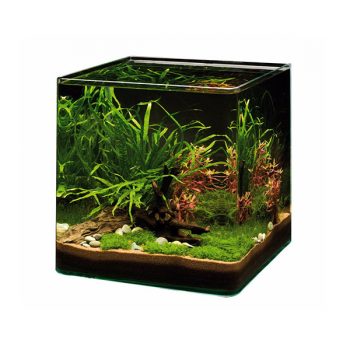 Tetra Starter Line Tank LED Black 54lt - Sales