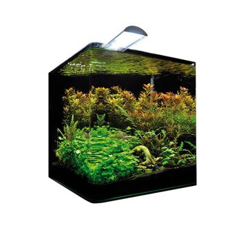 Dennerle Nano Cube Basic 20lt – Style Led M - Μικρά < 60 lt