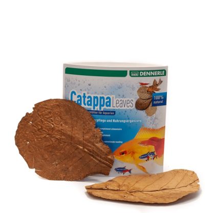 Dennerle Catappa Leaves - Sales