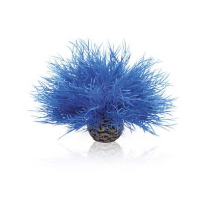 Oase Aquatic Sea Lily Blue - Τεχνητά Διακοσμητικά