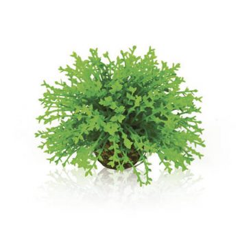 Oase Flower Ball Green - Τεχνητά Διακοσμητικά