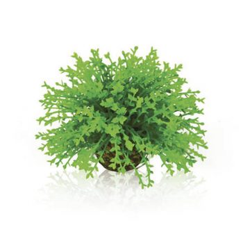 Hobby Ludwigia 34cm - Τεχνητά Διακοσμητικά