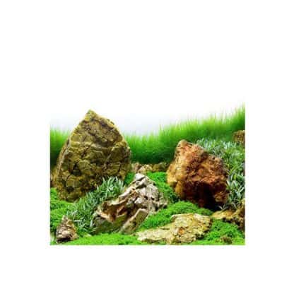 River Rock / Sea of Green Aquarium Background - Αφίσες – Πλάτες