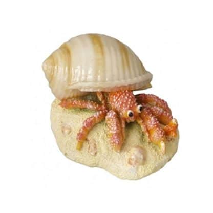 Aqua Della Hermit Crab - Τεχνητά Διακοσμητικά