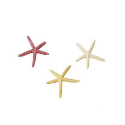 Aqua Della Starfish S - Τεχνητά Διακοσμητικά