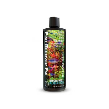 Brightwell Fish Recover Freshwater 250ml - Θεραπείες