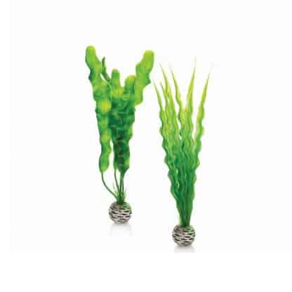 Oase Βiorb Decor Easy Plant Set L Green - Τεχνητά Διακοσμητικά