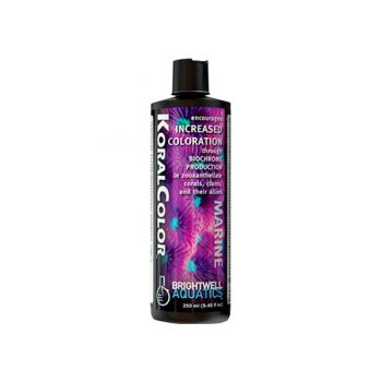 Brightwell Koralcolor 250ml - Συμπληρώματα Κοραλλιών