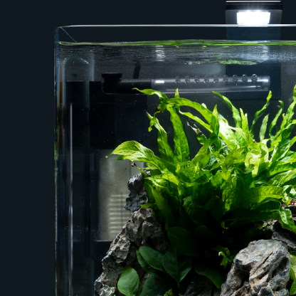 Dennerle Nano Corner Filter XL - Image 4