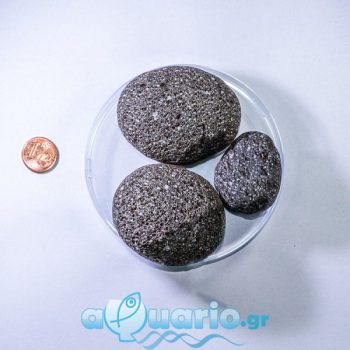 Black Volcano Pebble 1kg - Πέτρες - Βότσαλα