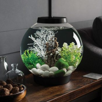 OASE BiOrb Black Blossom - Μικρά < 60 lt