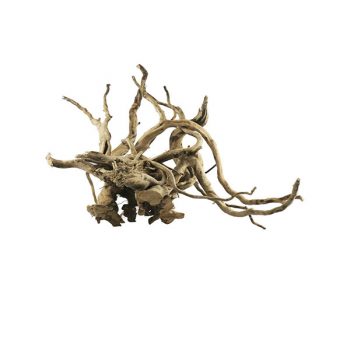 Haquoss Bonsai Driftwood 11 – small 20x13x11h cm - Sales