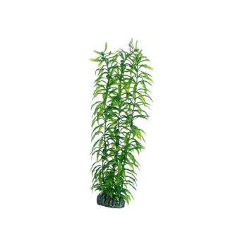 Hobby Heteranthera 34 cm - Τεχνητά Διακοσμητικά