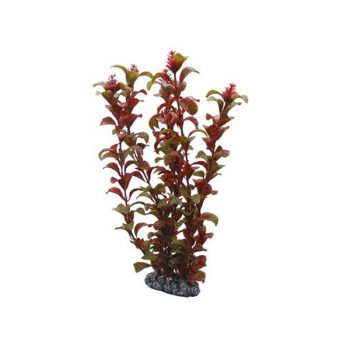 Oase BiOrb Plant Set M Red & Pink - Τεχνητά Διακοσμητικά