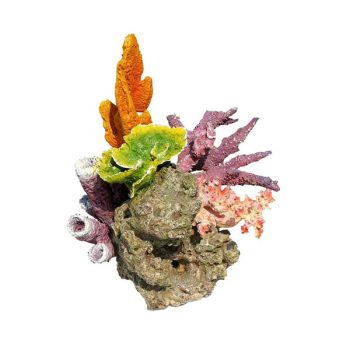 Haquoss Coral Rock 1 - Τεχνητά Διακοσμητικά