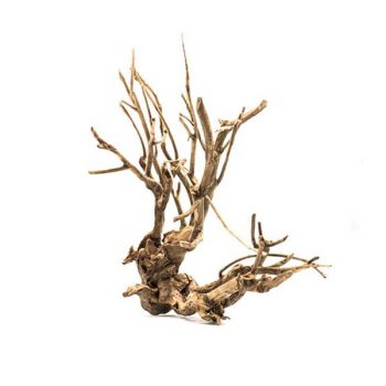 Croci Amtra Ikebana wood 20-30cm - Ξύλα