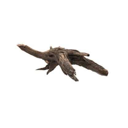 Aquario Ikebana Driftwood price per Kilo - Ξύλα