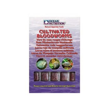 Ocean Nutrition Frozen Cultivated Bloodworms Cube Tray 100gr - Κατεψυγμένες τροφές
